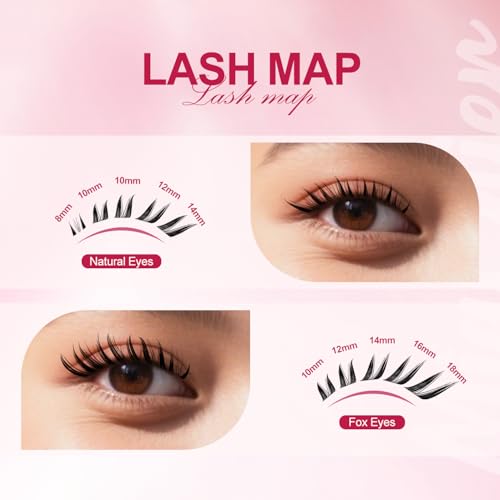 Fox Eye Lash ClustersKit, Easy for Beginners Individual Lashes, Cat Eye Lashes, 8-18mm C Curl 112pcs, Home DIY Lash Extensions, Waterproof Bond and Seal, Remover and Lash Tweezers