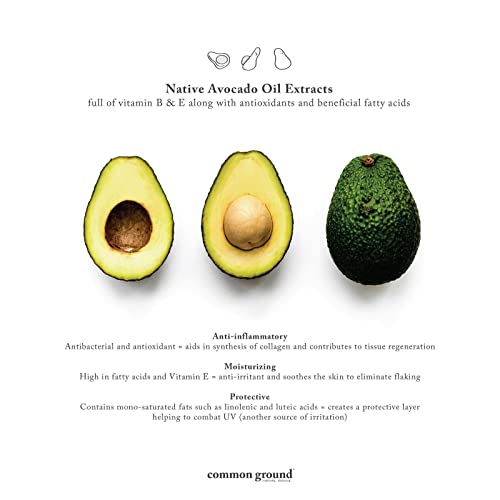 COMMON GROUND Natural Body Wash - Paraben & Cruelty Free, Vegan, Plant-Based, Botanical Freesia Scent & Avocado Oil Extracts - All Skin Types, Men & Women, Sensitive