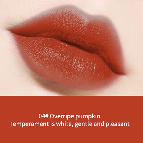 HXLOVE 5PCS Shimmering Lipstick Set - Long-Lasting, Moisturizing Lip Colors for Radiant Shine