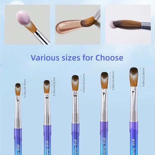 100% Pure Kolinsky Hair Acrylic Nail Art Brushes ? Oval Crimped Tip for Acrylic Powder, Gradient Blue Metal Handle, Professional Nail Art Brush for Salon & DIY (12)