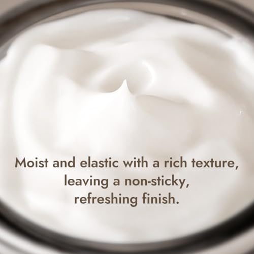 MIZON Black Snail All In One Cream Intensive Korean Skin Care Facial Moisturizing Snail Mucin Extract Travel Size (1.18 fl oz)