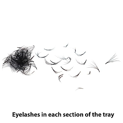 1000 Premade Fans Eyelash Extension Handmade Loose Volume Short Stem Eyelash Multiple Options 5D/7D Pre-made Fans 0.07mm Thickness C/D Curl 8mm-15mm Mixed Length Volume Eyelash Extensions mixed Length Eyelash in the tray (5D/D Curl)