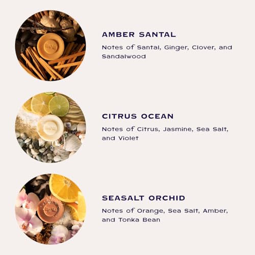 Smoosh¢ç Bar Soap Variety 6-Pack, Amber Santal, Citrus Ocean, Seasalt Orchid - Natural, Cold-Process Bar Soap for All Skin Types