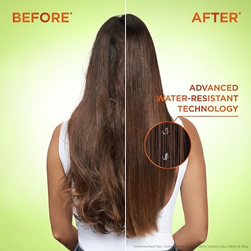 Garnier Fructis Sleek & Shine Shampoo, Frizzy, Dry, Unmanageable Hair, 22 fl. oz.(Packaging May Vary)