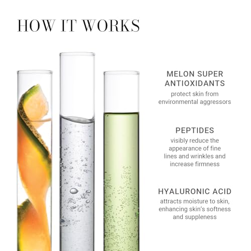 Meaningful Beauty ? Environmental Protecting Moisturizer Broad Spectrum SPF 30 ? Anti-Pollution & Visible Blue Light (HEV) Fighting Day Cream