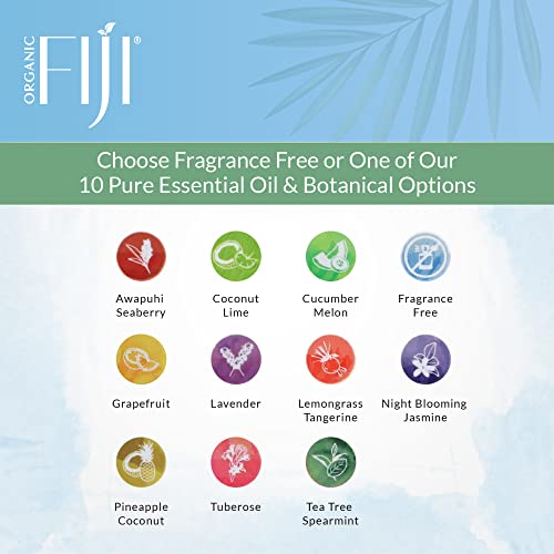 Coco Fiji Face & Body Lotion Infused With Coconut Oil | Lotion for Dry Skin | Moisturizer Face Cream & Massage Lotion for Women & Men | Fragrance Free 12 oz, Pack of 3