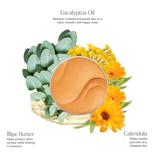 True Botanicals Natural Everything Rescue Balm | Soothe, Calm & Restore Dry Skin | Full Body Moisture | Calendula, Eucalyptus & Illipe Butter | Dermatologist Tested, All Natural, Vegan | 1.7oz | 50 ml