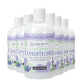 Ginger Lily Farms Botanicals Moisturizing Conditioner for Dry Hair, 100% Vegan & Cruelty-Free, Lavender Chamomile Scent, 12 Fl Oz (Pack of 6)