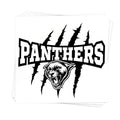 Panthers Mascot Temporary Tattoos for Kids ? 25-Pack Pre-Cut, Skin-Safe and FDA Compliant ? School Spirit and Sports Team Party Favors