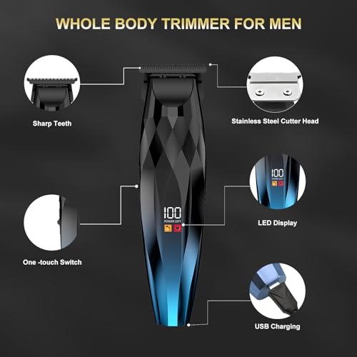 2-in-1 Professional Hair Clippers Set,Cordless Hair Clippers and T-Blade Trimmer Kit for Men,LCD Display,USB Rechargeable,Adjustable Guards,Waterproof,Beard & Body Grooming Kit (Blue)