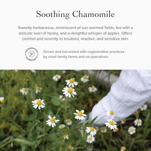 evanhealy Blue Chamomile Moisturizer | Calming Facial Cream with Carrot Seed & Argan Oil | Creamy Moisturizer For Sensitive & Reactive Skin