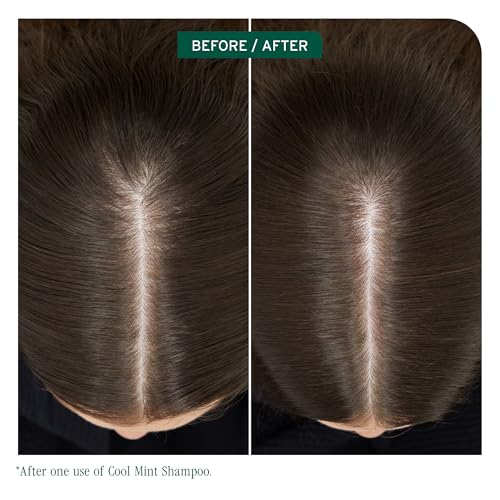 Clairol Natural Instincts Demi-Permanent Hair Dye, 2 Black Hair Color, Pack of 3