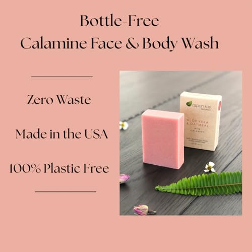 Aloe Vera & Oatmeal Soap Bar with Calamine, Natural & Organic Ingredients - Organic Aloe Vera & Colloidal Oats. Face & Body - for Men, Women & Teens. Gentle Body Wash. 4.5 oz Bar (Pack of 2)