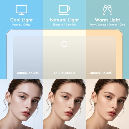 10X Magnifying Lighted Makeup Mirror with Lights,Daylight LED Vanity Mirror, Rechargeable,Compact, Cordless, Locking Suction Mirror, 360 Rotation, 7" Portable Illuminated Bathroom Mirror