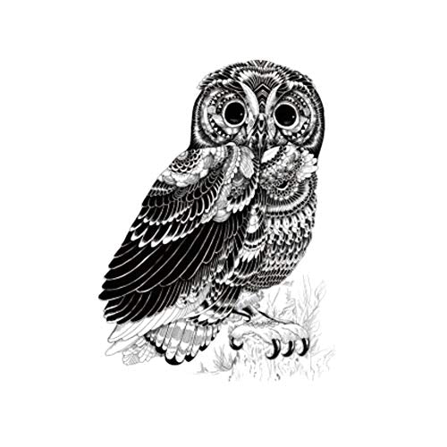 Owl Temporary Tattoos Large Temporary Tattoo Half Arm Tattoo Sleeves Stickers Shoulder Body Art for Men Women Teens-6 Sheets