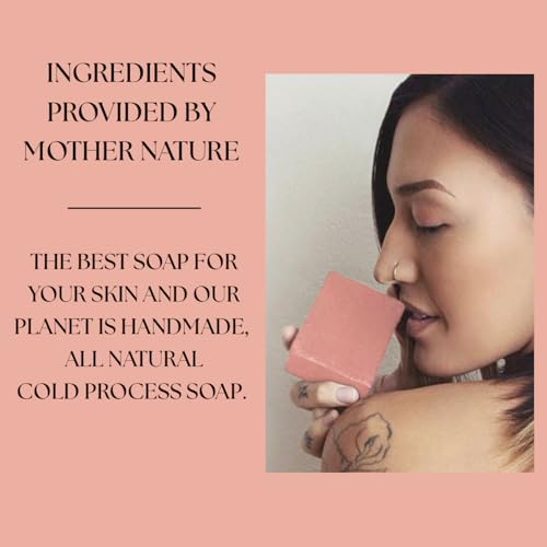 Aloe Vera & Oatmeal Soap Bar with Calamine, Natural & Organic Ingredients - Organic Aloe Vera & Colloidal Oats. Face & Body - for Men, Women & Teens. Gentle Body Wash. 4.5 oz Bar (Pack of 2)