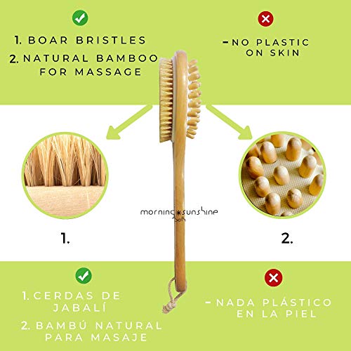Dry Brushing Body Brush Anti Cellulite Treatment Skin Smoother Scrubber, Boar Bristles Long Handled, Thighs Buttocks Back Massager, Ayurvedic Lymphatic Drainage Tratamiento de Celulitis Anticelulitis