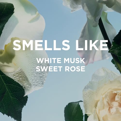By Rosie Jane Everyday Body Oil (Rosie Fragrance) - Nude Musk & Sweet Rose Scented Body Care with Sunflower, Olive & Rosehip Seed Oil to Hydrate and Nourish Dry Skin (5 fl oz)