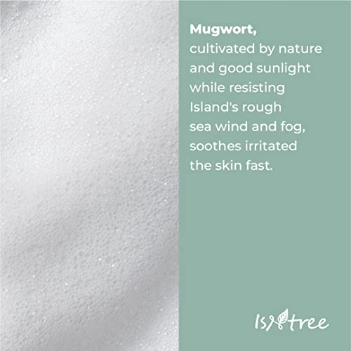 IsNtree Mugwort powder wash 15g | Mild peeling | Enzyme bubble cleanser | Soothes sensitive skin