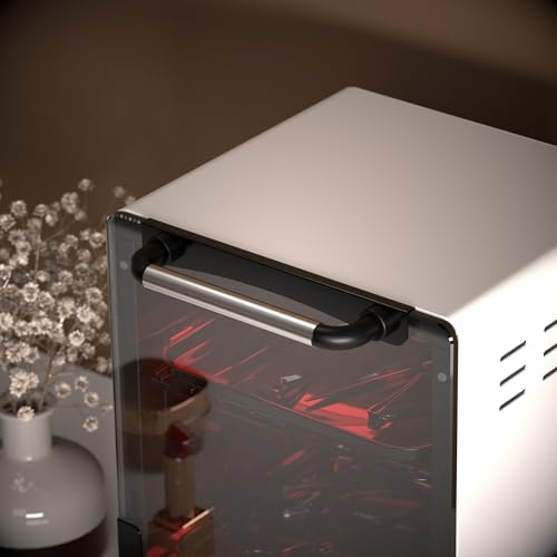 Sterilizer for Nail Tools, 12L Multifunctional High Temperature Cleaning Dry Box Stainless Steel with Temp Control, Timer, 2 Stainless Trays, Tweezer Sterilizer, Nail Salon Equipment, 110V 1000W