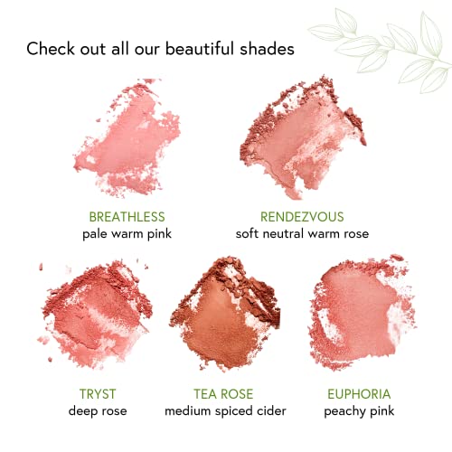 Honeybee Gardens Complexion Perfecting Blush Rendezvous, Soft Rose Natural & Glowy Finish Powder Blush for Cheeks, Highly Pigmented Long Lasting Blush, Vegan & Gluten-Free Face Makeup, 8.5g