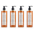 Prija Vitalising Hand Wash with Ginseng Extract Gently Cleanses Hands, Moisturising Liquid Hand Soap, Vegan Friendly with Energising Fragrance 4 x 12.85 Fl. Oz