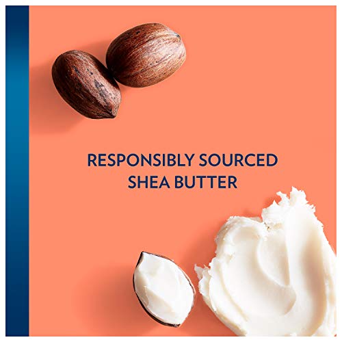 Vaseline Radiant X Replenishing Body Oil with Jojoba & Coconut Oils 3.7oz + Illuminate Me Shea Butter Whipped Body Butter for Melanin Rich Skin 11oz