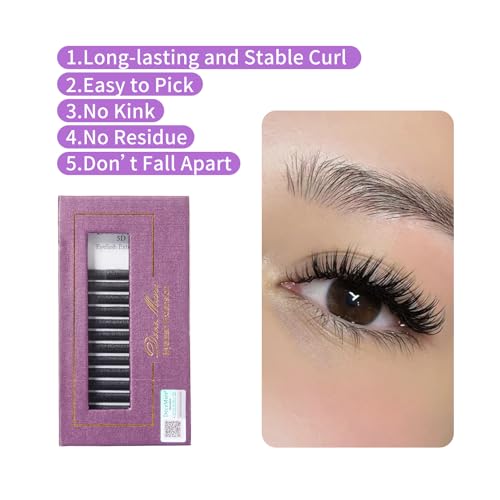 DeceMars Eyelash Extensions 5D W Lashes 0.07mm D Curl 8-14mm Mix Natural Soft Volume Premade Fans Easy Fanning False Lashes Matte Black Cluster (5D-0.07-D-8-14 MIX)