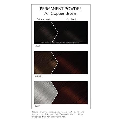 #76 Copper Brown Bigen Permanent Powder - 3 Pack