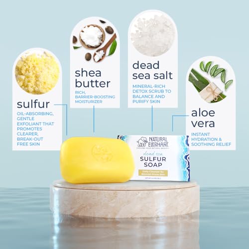 Natural Elephant Dead Sea Sulfur Soap 4.4 oz with Dead Sea Salt, Aloe Vera, Sulphur Face and Body Cleanser Bar for All Skin Types (10 Pack (44 oz Total))