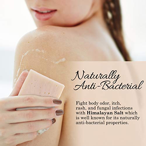 Bundle of 4 Himalayan Salt Soap Bars and 4 Soap Saver Mesh Bags