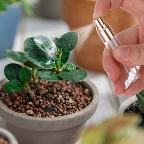 20 Pack 5ml Atomizer Glass Spray Bottles Mini Spray Bottles Glass Perfume Bottle Decant Bottles Gold Mini Sample Bottle Small Tiny Spray Bottle Refillable Mist Travel Sprayer