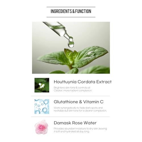 Houttuynia Cordata Revital Energy Tone Up Cream 50ml