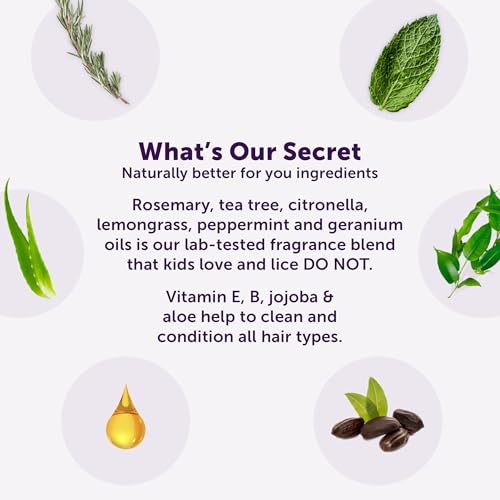 Fairy Tales Rosemary Repel Shampoo 12oz, Conditioner 8oz, Conditioning Spray 8oz, plus Daily Cleanse Shampoo 12oz, and Daily Cleanse Conditioner 12oz | Everyday Kids Shampoo and Conditioner Bundle