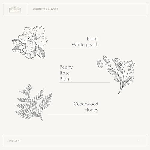 A LA MAISON Earth Body Scrub ? White Tea & Rose ? Natural Pumice Scrub with Shea Butter & Olive Oil ? Gently Exfoliates & Softens Skin ? French Formula ? Plant-Based ? 7 oz ? Amber Collection