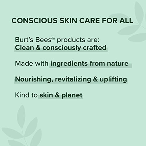 Burt's Bees Cocoa and Cupuacu Butters Body Lotion, 12 Ounce (Pack of 3)