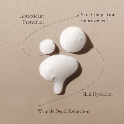 VILLAGE11FACTORY Active Clean Serum AHA BHA Mild exfoliation for acne and excess facial oil Korean Skincare for Blemish Care (1.69 fl oz/50ml)