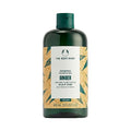 SheaMoisture Jamaican Black Castor Oil Strengthen & Restore Shampoo 2-Pack, 16 Oz Ea