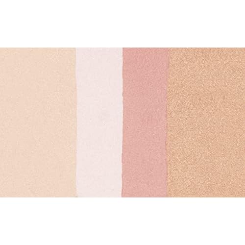 Blush Palette By Wet n Wild MegaGlo Illuminating Blush Makeup Powder Palette, Catwalk Pink, Highlighter Face Make Up (Pack of 2)