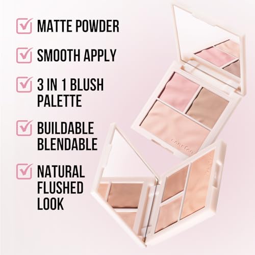 3 color blush palette
