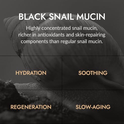 MIZON Black Snail All In One Cream Intensive Korean Skin Care Facial Moisturizing Snail Mucin Extract Travel Size (1.18 fl oz)