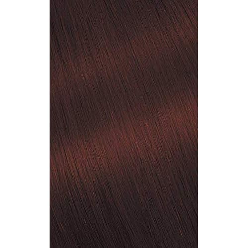#76 Copper Brown Bigen Permanent Powder - 3 Pack