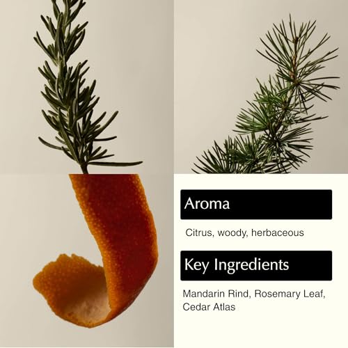 Aesop Resurrection Nourishing Hand Wash | Gentle Cleanser with Mandarin & Rosemary to Replenish & Hydrate Skin | 500mL / 16.9oz