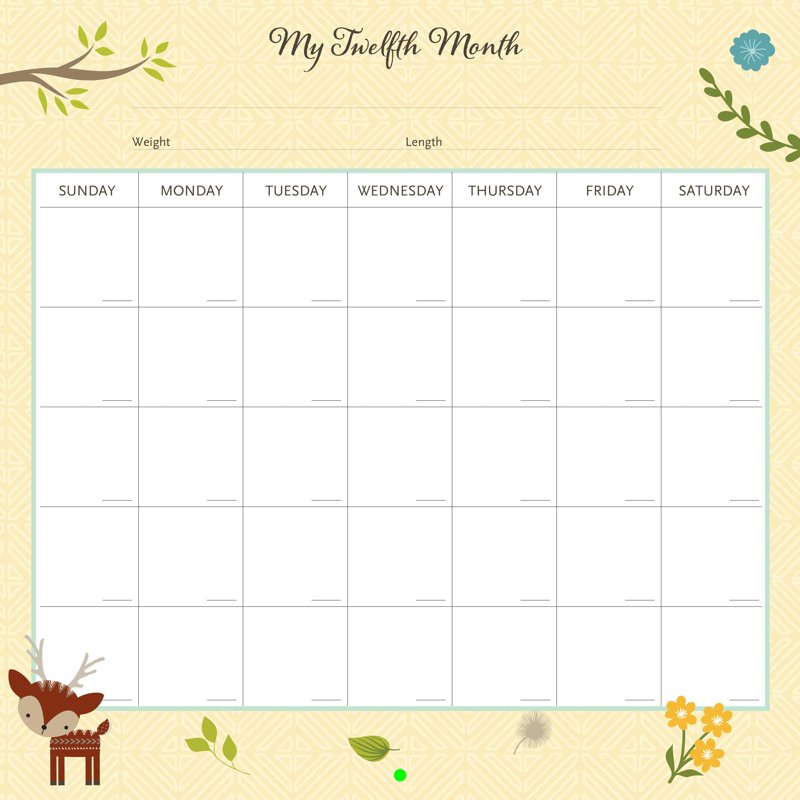 Woodland Friends Baby First Year Calendar - Milestones & Photo Organizer