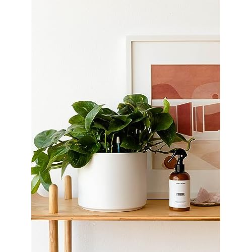 L?on &?George Black Soap Leaf Cleaner Spray for Houseplants