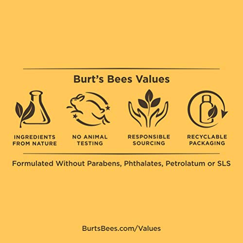 Burt's Bees Love Your Lips Collection