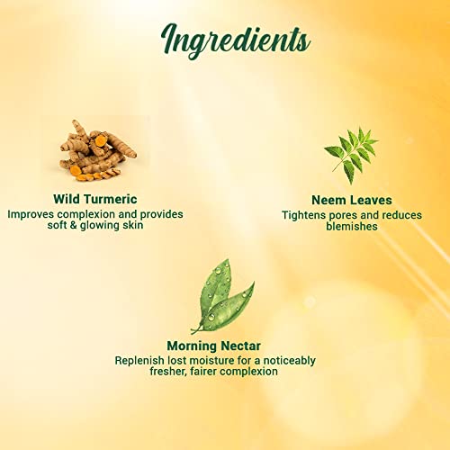 Biotique Botanicals Morning Nectar Lotion, 4.05 Fluid Ounce