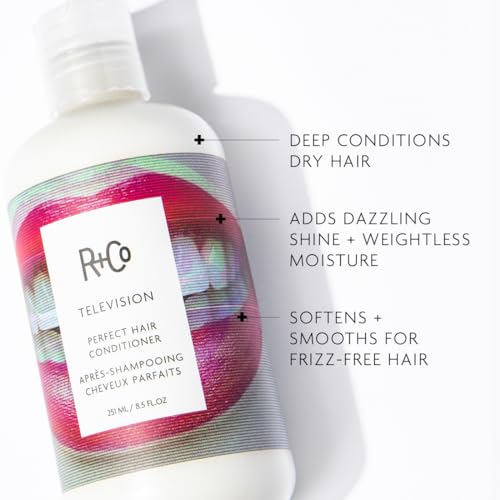 R+Co TELEVISION Perfect Hair Conditioner ? Hydrating & Smoothing Hair Conditioner, Adds Shine & Softness, All Hair Types