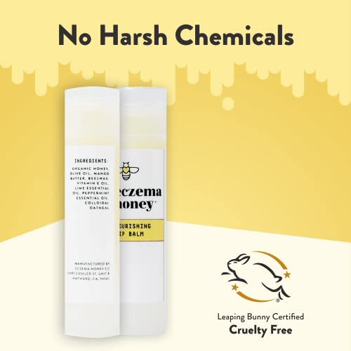 ECZEMA HONEY Nourishing Lip Balm - Organic Chapstick for Sensitive Skin - Daily Lip Moisturizer for Very Dry Lips - Mango Butter & Honey Lip Balm - Natural Lip Care Products (1 Ct) (Pack of 2)