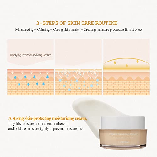 Nourishing Dead Sea Body Cream, Rich Hydrating Body Cream with Dead Sea Minerals, Moisturizer for Dry Skin, 10.5 oz (300 g)